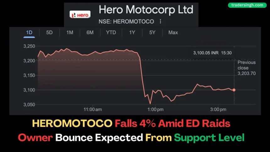 HEROMOTOCO Share Price Falls